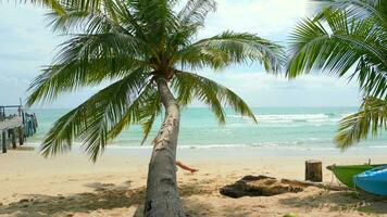 Woman swinging on a palm tree on a tropical beach in Thailand. video