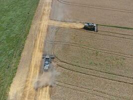 Harvesting wheat harvester photo
