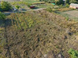 Vegetable garden in September. Dry grass in the garden and fruit trees on the plot. photo