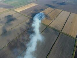 Burning straw in the fields after harvesting wheat crop photo