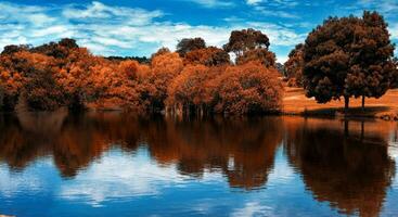 Lake view in fall time photo