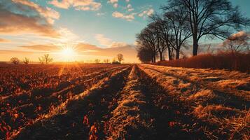 AI generated Sunrise Over Frosty Farmland with Vivid Skies photo