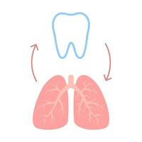 Connection of healthy teeth and lungs. Relation health of human breathing and tooth. Respiratory and chewing unity. Vector illustration