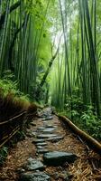 AI generated Ancient Stone Path in Enchanting Bamboo Forest photo