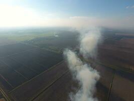 Burning straw in the fields after harvesting wheat crop photo