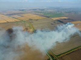 The burning of rice straw in the fields. Smoke from the burning of rice straw in checks. Fire on the field photo