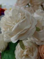 rosas flor floreciente belleza naturaleza y suave difuminar foto