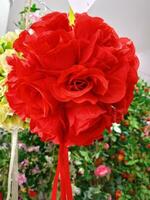 rosas flor floreciente belleza naturaleza y suave difuminar foto