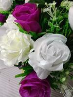rosas flor floreciente belleza naturaleza y suave difuminar foto