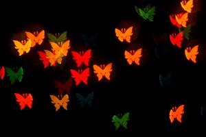 custom bokeh background in the shape of a butterfly photo