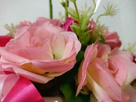 rosas flor floreciente belleza naturaleza y suave difuminar foto