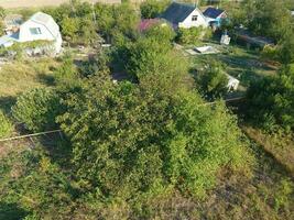 Vegetable garden in September. Dry grass in the garden and fruit trees on the plot. photo