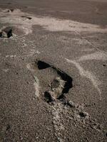 footprints on the black sand of the beach photo