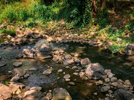 el fluir de un pequeño río en el bosque lleno con rocas foto