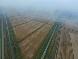 Burning straw in the fields after harvesting wheat crop photo