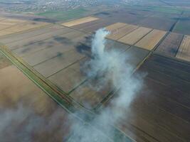 Burning straw in the fields after harvesting wheat crop photo