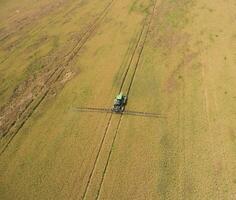 Adding herbicide tractor on the field of ripe wheat. View from above. photo