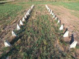 The ruins of the old farm. Cones column base of the wall. Abandoned and ruined buildings photo