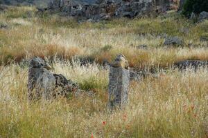 Antique ruins and limestone blocks in Hierapolis, Turkey. Ancient city. photo