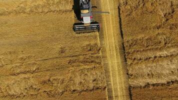 Harvesting barley harvesters. Fields of wheat and barley, the work of agricultural machinery. Combine harvesters and tractors photo