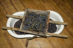 manual mecanismo para aplastante uvas. Persona especial el uvas dentro jugo foto