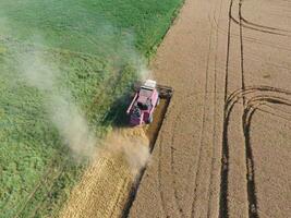 Cleaning wheat harvester. Top view. photo