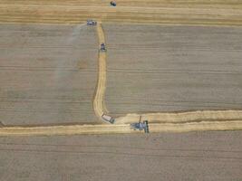 Harvesting wheat harvester photo