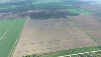 campos en el kuban ver desde un altura. joven trigo y arado campo un pequeño más lejos desde el aldea. foto