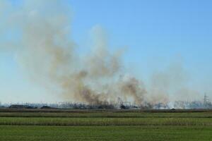 Fire on irrigation canals photo