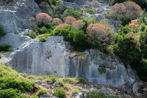 The ruins of the city of Mira, Kekova photo