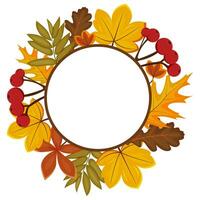 Autumn, fall, thanksgiving round circle white frame, autumn leaves. Round vector banner with copy space