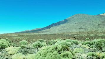 lato Visualizza a partire dal un' in movimento auto di il vulcanico paesaggio e montare ide su tenerife. video