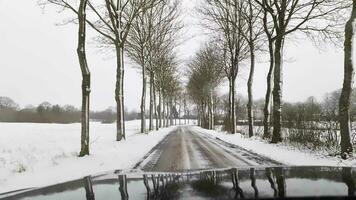 View from a moving car onto a snow-covered road with trees on the side. video