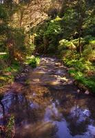 australian landscape view photo