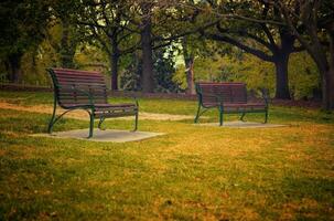 benches in park photo