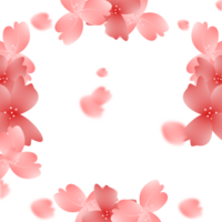 roze bloemen kader. sakura bloesem achtergrond. kers bloeien grens. png