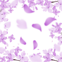 Flowers Bloom Frame Background. Purple Flower Border Clipart png