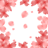 Sakura Bloom Flowers Frame Background png