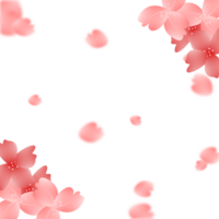 roze bloemen kader. sakura bloesem achtergrond. kers bloeien grens. png