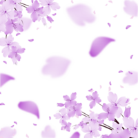 flores floración marco antecedentes. púrpura flor frontera clipart png