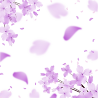 Flowers Bloom Frame Background. Purple Flower Border Clipart png