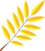 autumn leaves icon png