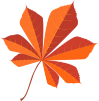 autumn leaves icon png