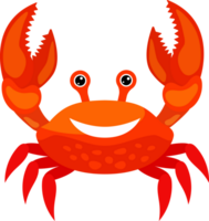 röd tecknad serie leende krabba png