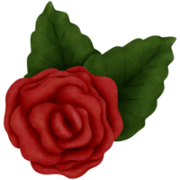 Botanical watercolor red rose with green leaves illustration.Perfect for romantic valentines day decorations. png