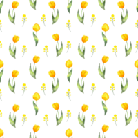 Seamless yellow tulip pattern.Background of botanical yellow flowers. Watercolor illustration. Texture for packaging, printing on fabric, paper. Hand drawn art isolated. png