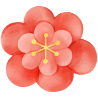 chinois traditionnel ornements, fleurs png