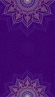 lujoso Violeta elegancia con mandala adornos vertical vector antecedentes