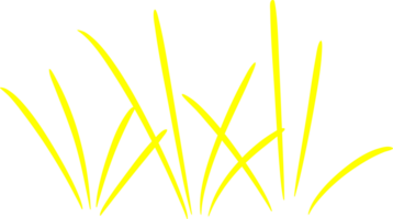 le feu d'artifice Jaune Couleur png bink