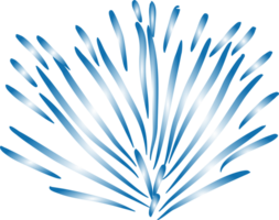 The firework blue color flower shape PNG